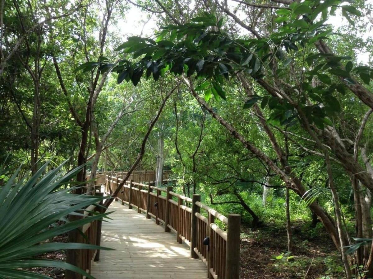 2bd Grand Bliss Vidanta Riviera Maya Casa vacanze *